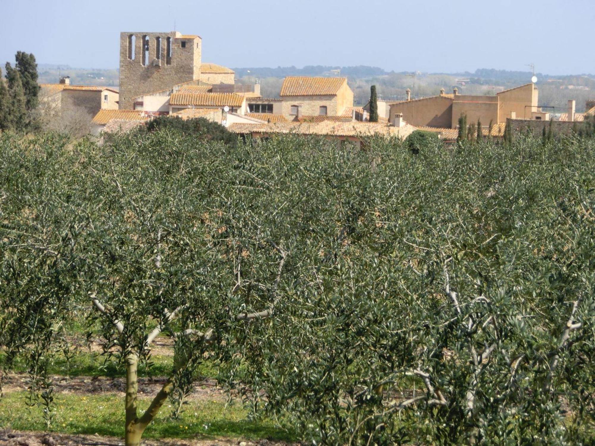 Can Barrull-Costa Brava-Emporda Sant Feliu de Boada エクステリア 写真