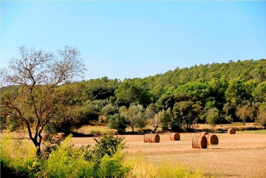 Can Barrull-Costa Brava-Emporda Sant Feliu de Boada 部屋 写真